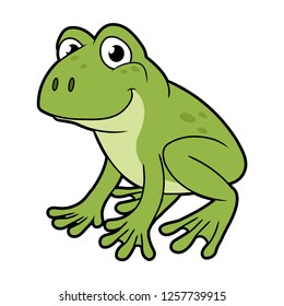 Smiling green frog