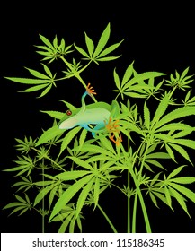 Smiling green frog sitting on marijuana vector illustration