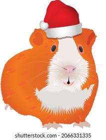 Smiling guinea pig wearing Santa's hat