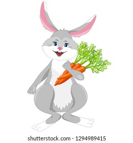 Smiling happy cute grey rabbit holding vegetable carrot isolated on white background. Little comical funny bunny for Easter. Graphic design. Vector illustration.