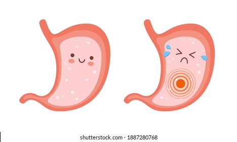 Smiling healthy stomach and sad sick stomach character. Gastritis, indigestion and ulcer problems. Vector flat cartoon illustration on white background