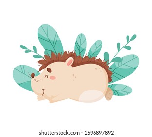 Smiling Hedgehog Character Sleeping Beside the Bush Vector Illustration