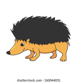Smiling hedgehog illustration