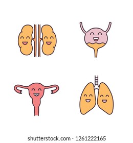 Smiling human internal organs color icons set. Happy kidneys, urinary bladder, lungs, uterus. Healthy pulmonary, urinary, reproductive systems. Isolated vector illustrations