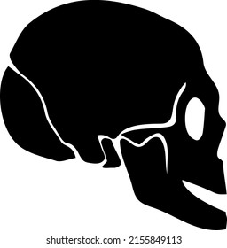 smiling human skull isolated vector illustration hand drawing skeleton sketch. Illustration for Halloween