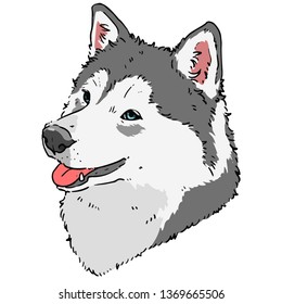 Smiling husky realistic