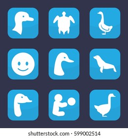smiling icon. Set of 9 filled smiling icons such as goose, seal, smiling emot, turtle  illsutration