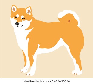 smiling japanese little dog shiba inu