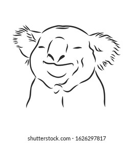 Smiling koala portrait, vector sketch illustration 