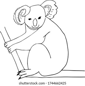 A smiling koala is sitting on a branch. Sleeping wild animal. Hand-drawn vector illustration