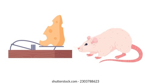 Smiling little rat sniffing cheese in mousetrap flat style, vector illustration isolated on white background. Decorative design element, rodent animal, home pest