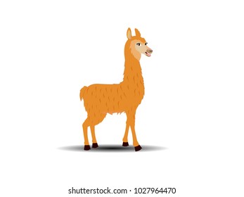 Smiling Llama - Cartoon Vector Image