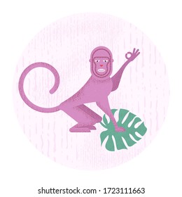 A smiling monkey stands on a sheet of monstera sheet and shows with his fingers that everything is OK. Vector illustration on a colored background.
