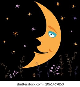 Smiling moon in the night sky
