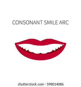 Smiling mouth with white healthy teeth. Consonant smile arc. Vector illustration.