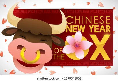Smiling ox under petals shower and peach flower, celebrating the Chinese New Year of the Ox.