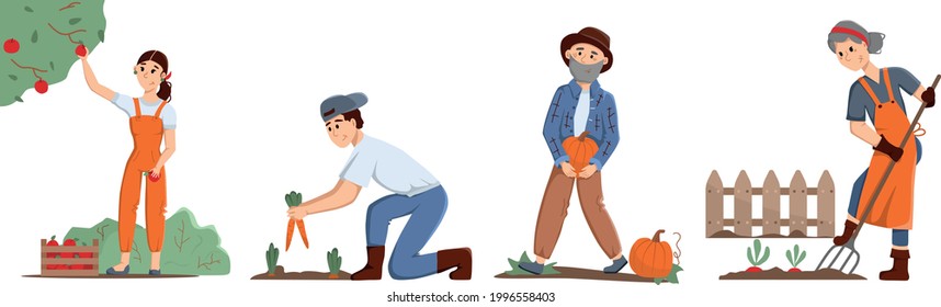 Gente sonriente de diferentes edades recoge frutas y verduras en el jardín. Trabajos de temporada en el jardín y huerto. Cosecha otoñal. Ilustración plana vectorial de material. 
Concepto de trabajo agrícola