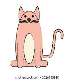 smiling pet cat