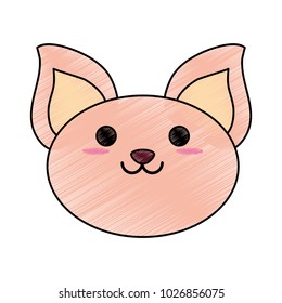 smiling pet cat