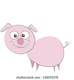 smiling pig
