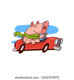 Smiling pig riding red car. Cute humanized animal. Funny cartoon character. Vector design