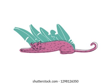 Smiling pink leopard lying near tropical leaves. Large wild cat with spotted body. Hand drawn vector design