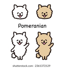 Smiling pomeranian standing on two legs face and whole body set.