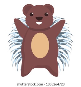 Smiling porcupine icon. Cartoon of smiling porcupine vector icon for web design isolated on white background