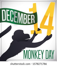 Smiling primate arranging the number date and a greeting ribbon with the date to celebrate Monkey Day this December 14.