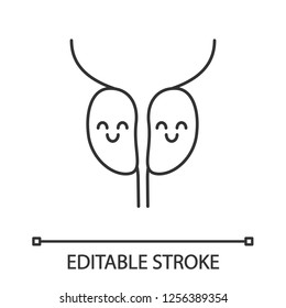 Smiling prostate gland linear icon. Men's health. Thin line illustration. Male reproductive system health. Contour symbol. Vector isolated outline drawing. Editable stroke
