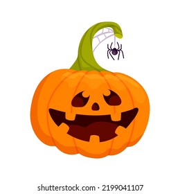 Smiling pumpkin with cobweb and spider.Cartoon vector graphic.