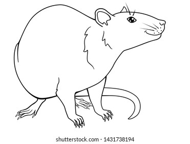 A smiling rat is a symbol of 2020. Chinese New Year of the Rat. Rat - linear vector image for coloring. outline. 
hand drawing