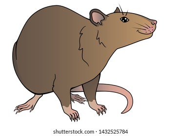 A smiling rat is a symbol of 2020. Chinese New Year of the Rat. Rat - vector image
