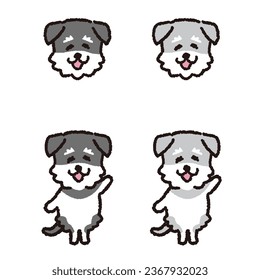 Schnauzer sonriente sobre la cara de dos piernas y el cuerpo entero.