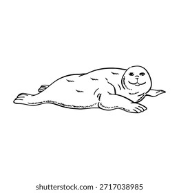 Una foca sonriente acostada sobre su estómago con una expresión feliz