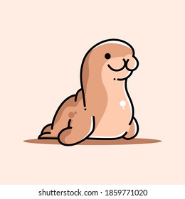 Smiling seals, simple flat vector illustration