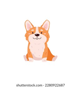 Smiling sitting corgi dog flat style, vector illustration isolated on white background. Cute pedigree pet, decorative design element, happy domestic animal