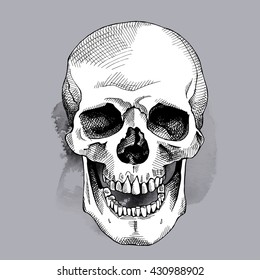 Smiling skull with shadow. Vector illustration.