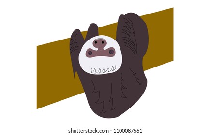 Smiling sloth hanging from a tree trunk