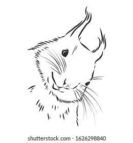 Smiling squirrel portrait, vector sketch illustration 