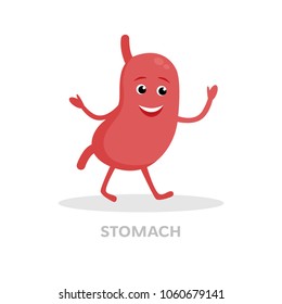Smiling stomach cartoon character isolated on white background. Digestive tract, stomach icon vector flat design. Healthy organ concept medical illustration.