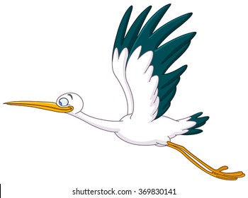 Smiling Stork flying