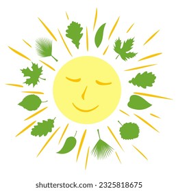 Smiling sun surrounded by green leaves. Sunbeams between foliage. Simple emblem isolated on white background. Vector illustration.