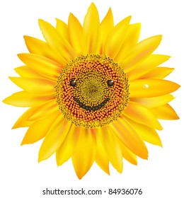 604 Sunflower smiley face Images, Stock Photos & Vectors | Shutterstock