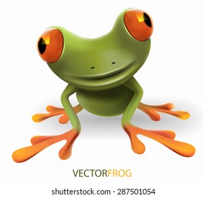 Smiling tropical green forest  frog. Vector