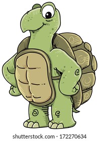 Smiling turtle on a white background