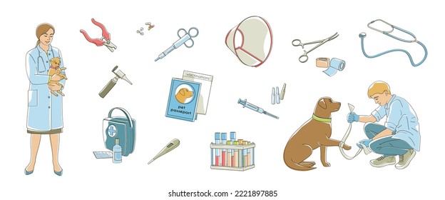 smiling veterinarians examines a dogs. Veterinary clinic, medical service or pet medical center Set of medical tools and healthcare equipment.