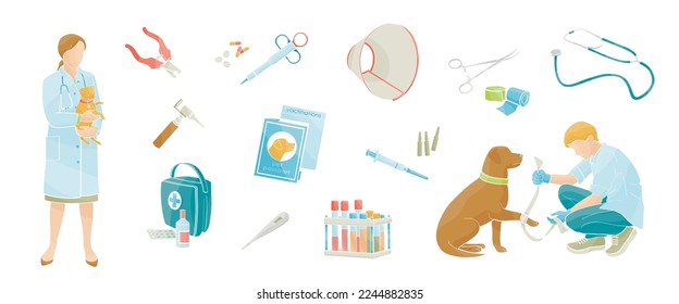 smiling veterinarians examines a dogs. Veterinary clinic, medical service or pet medical center Set of medical tools and healthcare equipment. Color vector illustration