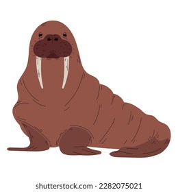 Smiling walrus mascot sits over white