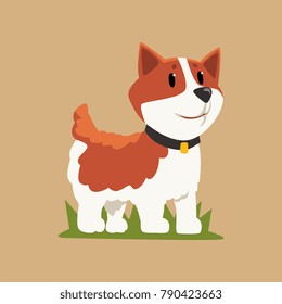 Smiling welsh corgi standing on green grass. Dog character with black collar. Human's best friend. Domestic animal. Flat vector for sticker, print or children book